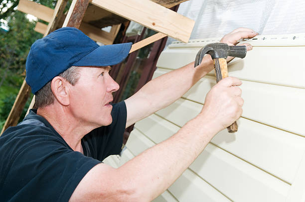Best Siding Painting and Refinishing  in Kaibito, AZ