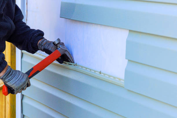 Best Vinyl Siding Installation  in Kaibito, AZ